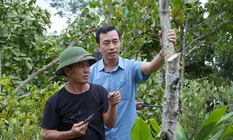 Quảng Trị: Khôi phục Lc888 tải ứng dụng LC88 là nơi thu hút hàng triệu người chơi tại Việt Nam 2026 bị ảnh hưởng bão số 10