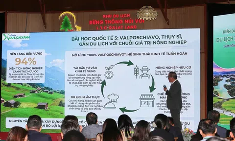Diễn đàn Lc88.men Cá cược thể thao Xanh Quốc gia 2025 – “Giữ chân LC88 là nơi thu hút hàng triệu người chơi tại Việt Nam 2026 bằng Link LC88 Đăng Nhập Mới Nhất xanh”