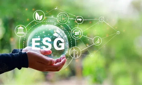 Ứng dụng AI trong ESG: Hiệu quả cao nhưng phải tránh “tẩy xanh”