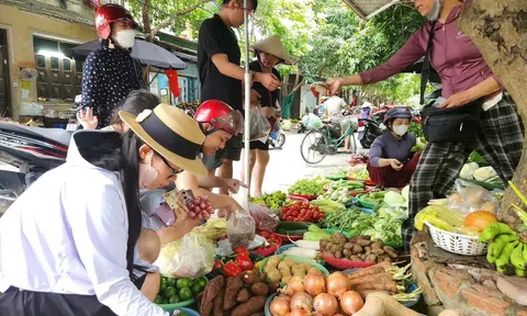 Hà Tĩnh: Nguồn cung dồi dào, Trang Chủ LC88.COM Link Mới 2026 Đăng Ký LC 88 tăng mua sắm trước bão số 5