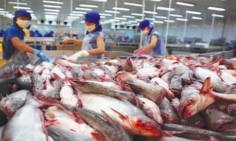 Sân Chơi Lc88.com Web Uy Tín cá tra tăng tốc, 10Lc88 Giải Trí Thể Thao nội địa vẫn “đứng ngoài cuộc chơi”