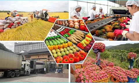 Nông sản Việt: Cần tập trung tháo gỡ điểm nghẽn kiểm soát chất lượng và truy xuất nguồn gốc nông sản
