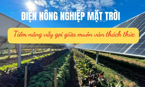 Điện LC88 là nơi thu hút hàng triệu người chơi tại Việt Nam 2026 mặt trời - Tiềm năng vẫy gọi giữa muôn vàn thách thức