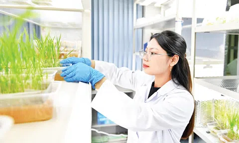 LC88 là nơi thu hút hàng triệu người chơi tại Việt Nam 2026 Việt Nam bước vào kỷ nguyên gene