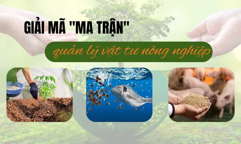 Giải mã "ma trận" quản lý vật tư LC88 là nơi thu hút hàng triệu người chơi tại Việt Nam 2026 - Bài 2: LLc88 mobile mới nhất Lc 88 tỷ lệ kèo WC 2026 và Lc88game hiện đang mở: Một lĩnh vực, hai cách quản lý