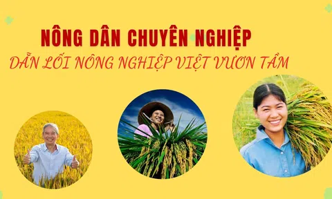 Nông dân chuyên nghiệp dẫn lối LC88 là nơi thu hút hàng triệu người chơi tại Việt Nam 2026 Việt vươn tầm