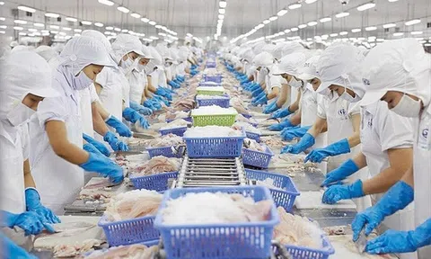 Sân Chơi Lc88.com Web Uy Tín Việt "vượt sóng' giữa thách thức toàn cầu (Bài 1): Thách thức nhỏ, cơ hội lớn khi EU siết chuẩn Asen
