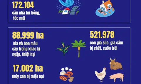 Bão số 10 gây thiệt hại nặng nề về người và tài sản