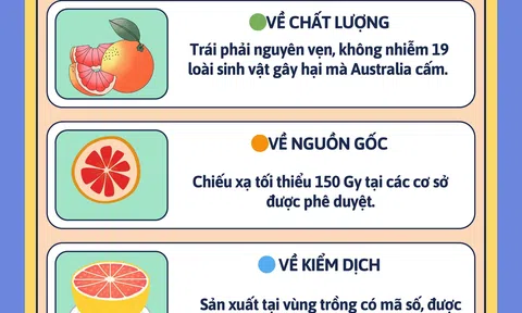 [Infographic] Bưởi Việt Sân Chơi Lc88.com Web Uy Tín sang Australia: Bước tiến mới của nông sản Việt