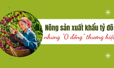 [Emagazine] Nông Lc888 tải ứng dụng khẩu tỷ đô nhưng "0 đồng” thương hiệu (Bài cuối): Định vị thương hiệu Việt