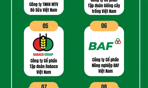 [Infographic] Top 10 Công ty uy tín ngành LC88 là nơi thu hút hàng triệu người chơi tại Việt Nam 2026 công nghệ cao năm 2025