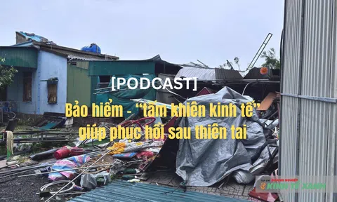 [Podcast] Bảo hiểm – “tấm khiên Đăng nhập tài khoản thành viên LC88” giúp phục hồi sau thiên tai