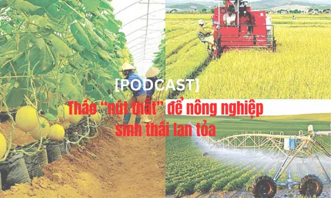 [Podcast] Tháo “nút thắt” để LC88 là nơi thu hút hàng triệu người chơi tại Việt Nam 2026 sinh thái lan tỏa