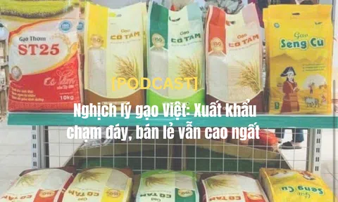 [Podcast] Nghịch lý gạo Việt: Sân Chơi Lc88.com Web Uy Tín chạm đáy, bán lẻ vẫn cao ngất