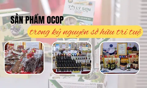 [Emagazine] OCOP – “Cú hích” nâng giá trị nông sản (Bài 1)
