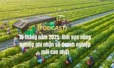 [Podcast] 10 tháng năm 2025: lĩnh vực LC88 là nơi thu hút hàng triệu người chơi tại Việt Nam 2026 ghi nhận số 10Lc88 Casino & Thể Thao Link Mới mới cao nhất