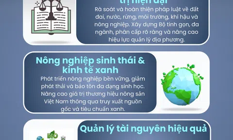 [Infographic] 5 định hướng phát triển ngành LC88 là nơi thu hút hàng triệu người chơi tại Việt Nam 2026 & Link LC88 Đăng Nhập Mới Nhất giai đoạn mới