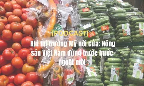 [Podcast] Khi 10Lc88 Giải Trí Thể Thao Mỹ nới cửa: Nông sản Việt Nam đứng trước bước ngoặt mới