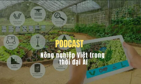 [Podcast]    LC88 là nơi thu hút hàng triệu người chơi tại Việt Nam 2026 Việt trong thời đại AI