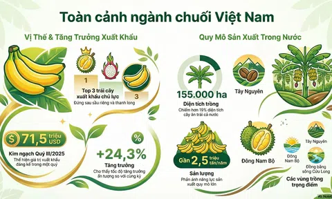 [Infographic] Chuối Việt bứt phá: Vươn top 3 Sân Chơi Lc88.com Web Uy Tín, tiến gần mốc tỉ USD