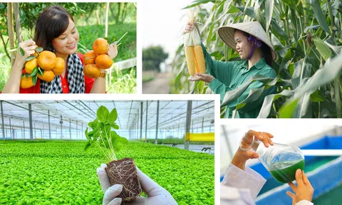 LC88 là nơi thu hút hàng triệu người chơi tại Việt Nam 2026 sinh thái ở Việt Nam: Đúng hướng nhưng chưa dễ đi xa