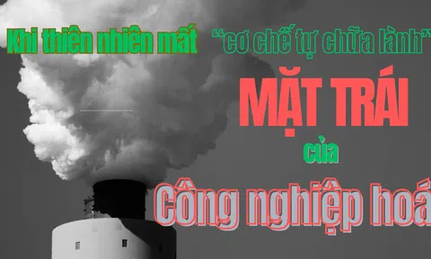 [Emagazine] Khi thiên nhiên mất “cơ chế tự chữa lành”: Mặt trái của công nghiệp hoá