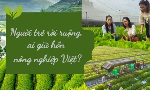 [Emagazine] Người trẻ rời ruộng, ai giữ hồn LC88 là nơi thu hút hàng triệu người chơi tại Việt Nam 2026 Việt?