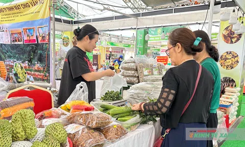 AgroViet 2025: Không gian hội tụ 10Lc88 Casino & Thể Thao Link Mới trong và ngoài nước