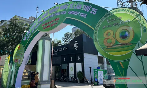 Hội chợ AgroViet 2025: Kết nối giá trị nông sản Việt với thế giới
