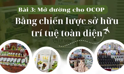 [Emagazine] Mở đường cho OCOP bằng chiến lược sở hữu trí tuệ toàn diện (Bài 3)