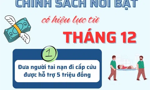 Loạt chính sách quan trọng có hiệu lực từ tháng 12: Tăng mức phạt, bổ sung nhiều quy định mới