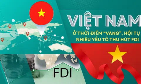 [Emagazine] Việt Nam ở thời điểm “vàng”, hội tụ nhiều yếu tố thu hút FDI