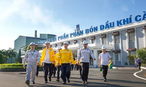 Đạm Cà Mau (DCM) sắp chi nghìn tỷ chia cổ tức, PVN nhận về hơn 800 tỷ đồng