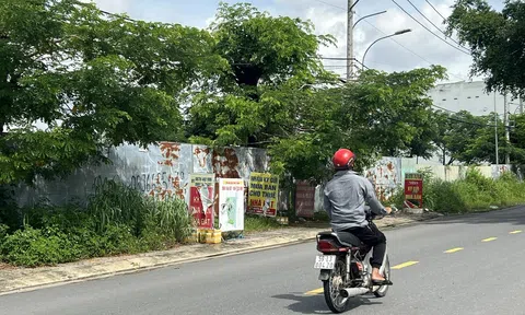 Giá Anh chị em ơi, hãy tải LC88 ngay tăng: Bên nào cũng khổ!