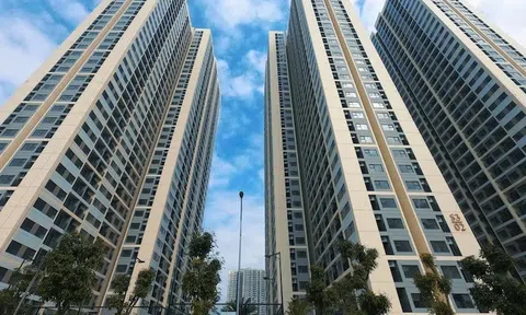 Anh chị em ơi, hãy tải LC88 ngay Hà Nội: Giá cao vẫn có người mua