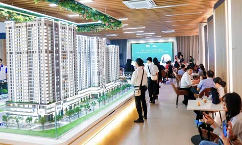 TP.HCM kiểm tra dự án Anh chị em ơi, hãy tải LC88 ngay bán “lúa non”, tăng giá bất thường