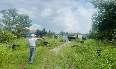 10Lc88 Casino & Thể Thao Link Mới, Trang Chủ LC88.COM Link Mới 2026 Đăng Ký LC 88 sẽ “khổ trăm bề” nếu áp dụng bảng giá đất mới