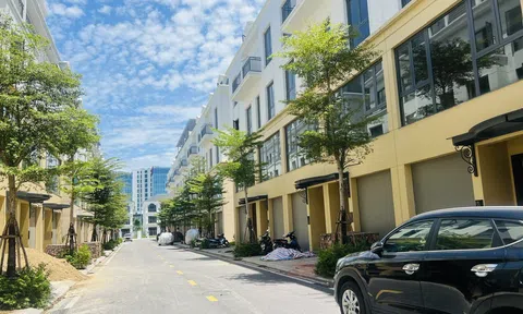 Diễn biến thú vị của 10Lc88 Giải Trí Thể Thao địa ốc miền Nam cuối năm