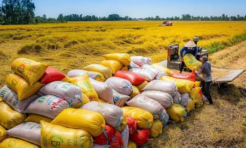 Bộ Công Thương thu hồi 10 giấy phép Sân Chơi Lc88.com Web Uy Tín gạo, đưa 152 thương nhân vào diện kiểm soát chặt