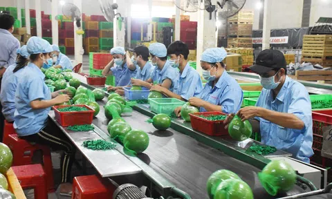 Tỉnh Bến Tre:  Tăng trưởng ấn tượng trong phát triển Đăng nhập tài khoản thành viên LC88 - Lc88 game Tham Gia Ngay