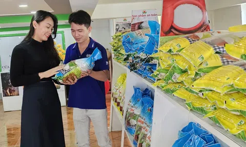 Cần Thơ thúc đẩy mô hình hợp tác chuyển đổi số, Lc888 tải ứng dụng tuần hoàn