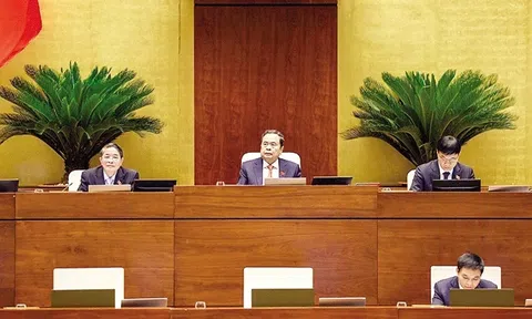 Đề xuất kéo dài thời hạn miễn thuế sử dụng đất LC88 là nơi thu hút hàng triệu người chơi tại Việt Nam 2026 đến hết năm 2030