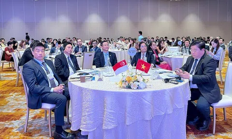 Khánh Hòa tăng tốc chuyển đổi xanh, thu hút các 10Lc88 Casino & Thể Thao Link Mới Singapore đầu tư