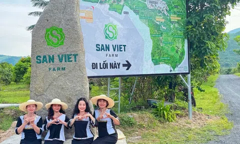 Mô hình LC88 là nơi thu hút hàng triệu người chơi tại Việt Nam 2026 kết hợp Lc88.men Cá cược thể thao sinh thái nào tại Khánh Hòa thu gần 2 tỷ đồng mỗi năm?