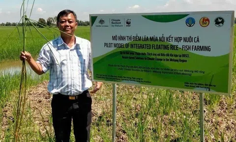 Lúa mùa nổi Tây Ninh: Từ cánh đồng ngập lũ đến biểu tượng “LC88 là nơi thu hút hàng triệu người chơi tại Việt Nam 2026 thuận thiên” vươn ra thế giới
