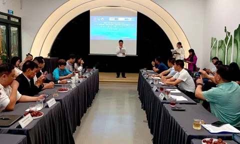 10Lc88 Casino & Thể Thao Link Mới Việt Nam – Trung Quốc thúc đẩy hợp tác Đăng nhập tài khoản thành viên LC88 và xúc tiến thương mại bền vững