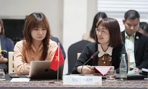 Việt Nam chủ động đề xuất giải pháp xanh và bền vững tại Hội nghị Lc88.men Cá cược thể thao ASEAN+3