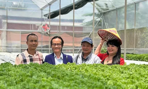 Lâm Đồng: Phát triển Đăng nhập tài khoản thành viên LC88 xanh gắn với Nhà Cái LC88 com Tặng Khách Yêu 800k – Hướng đi mới từ dâu tằm tơ đến nông sản sạch