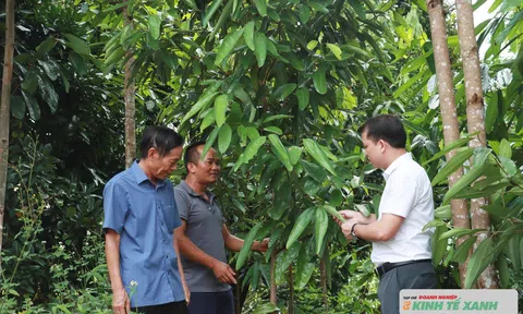 Khi rừng trở thành “kho vàng xanh” nuôi sống Trang Chủ LC88.COM Link Mới 2026 Đăng Ký LC 88