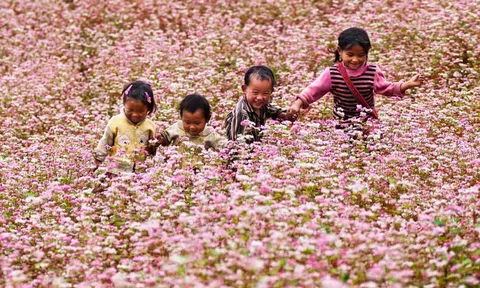 Mỗi ngày Cao nguyên đá Đồng Văn đón gần 10.000 lượt khách